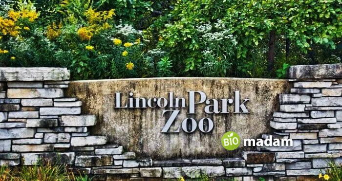 Lincoln-Park-Zoo