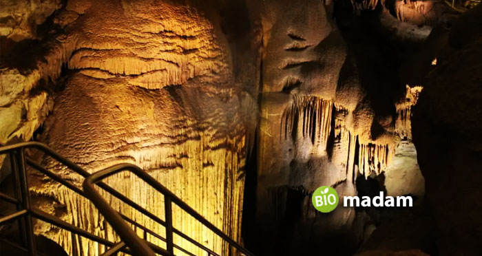 Mammoth-Cave