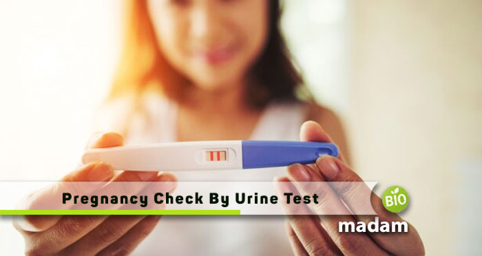 Pregnancy-Check-By-Urine-Test