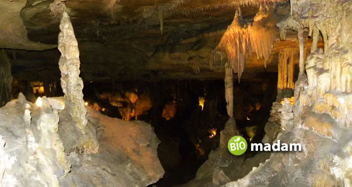 Raccoon-Mountain-Caverns