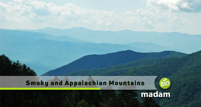 Smoky-and-Appalachian-Mountains