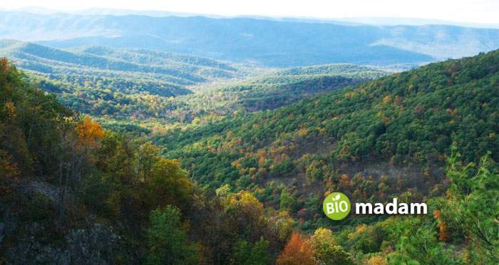 The-Appalachian-Mountains