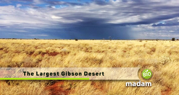 The-Largest-Gibson-Desert