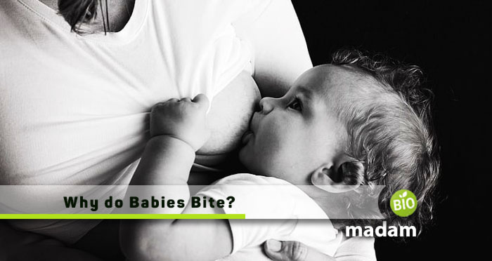 Why-do-Babies-Bite