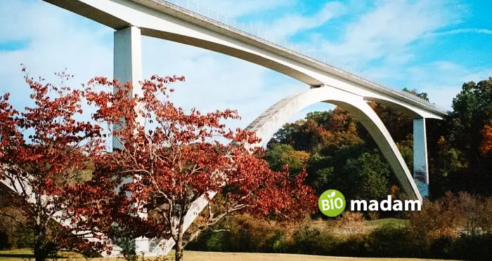 natchez-trace-parkways