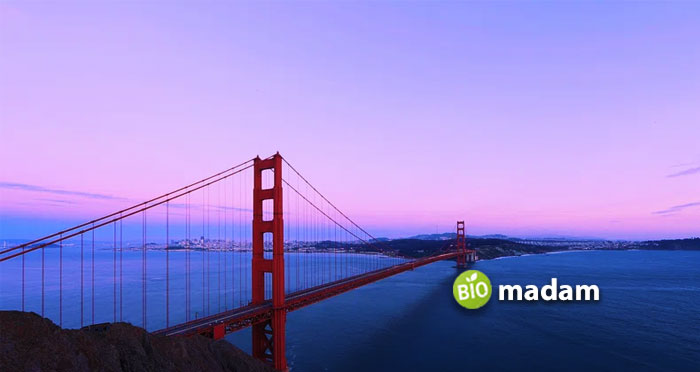 purple-sunset-at-bridge