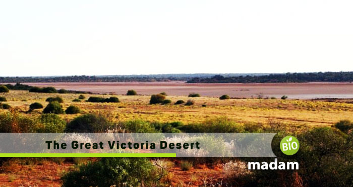 the-Great-Victoria-Desert