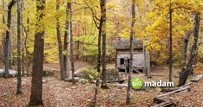 tishomingo-states-park