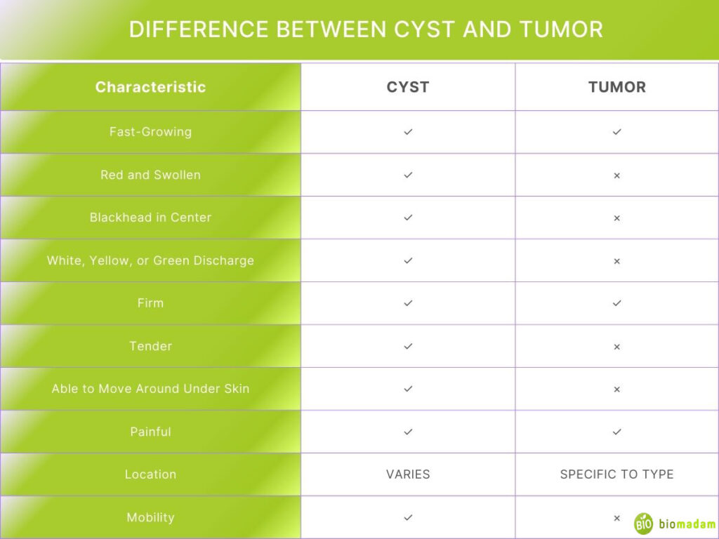 DIFFERENCE Between CYST and tumor
