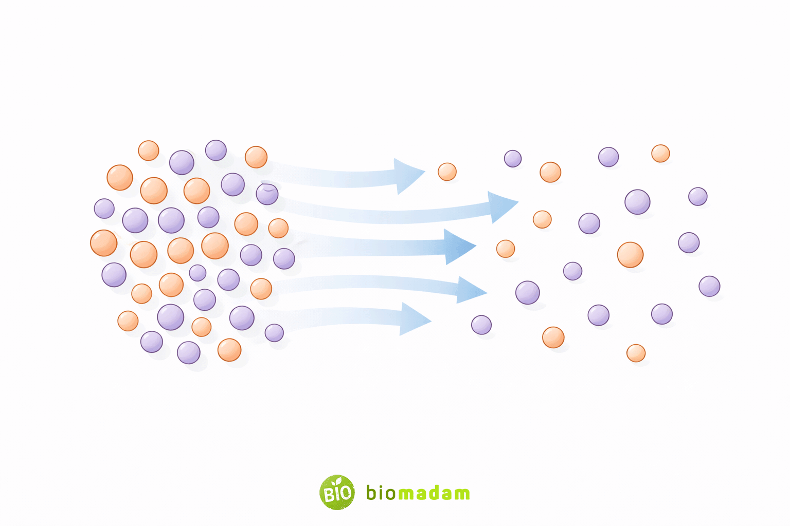 Diffusion showing particles moving from high concentration to low concentration