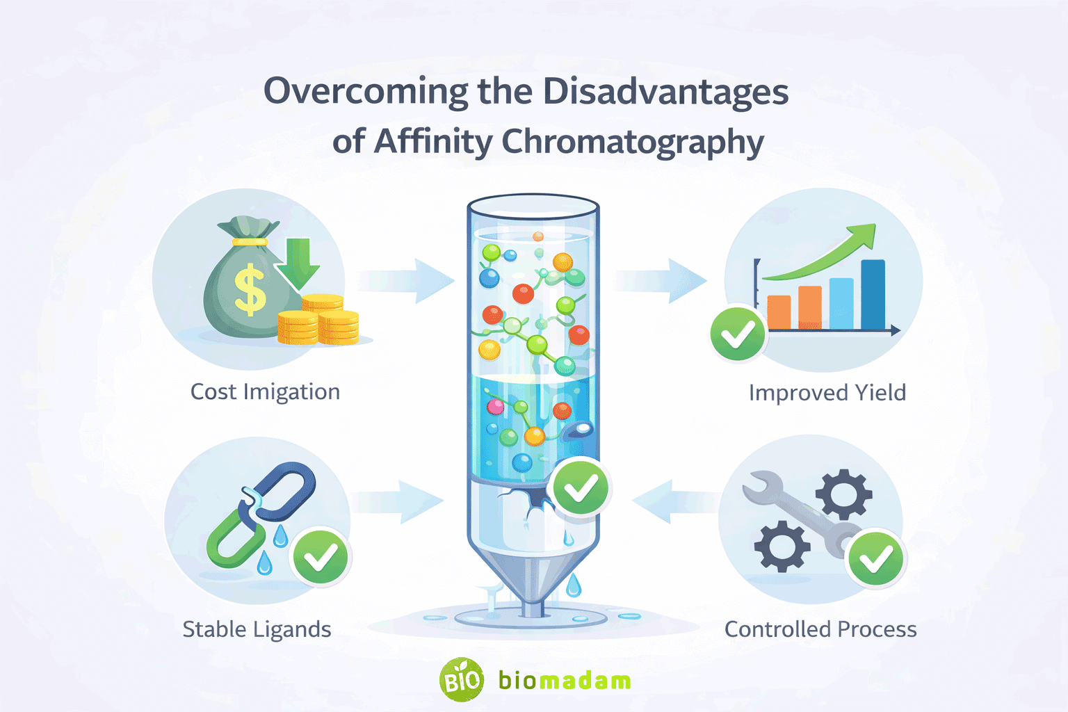 How to overcome the disadvantages of affinity chromatography using optimized purification techniques