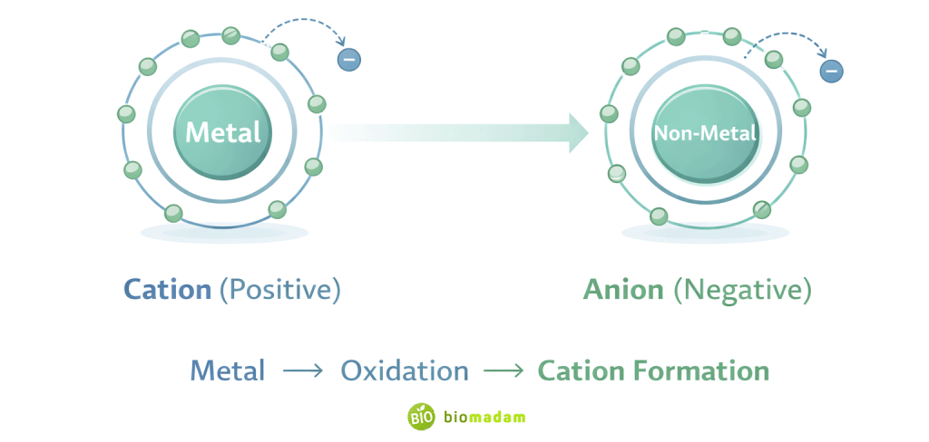 Comparison diagram showing metal losing electron forming cation and non-metal gaining electron forming anion