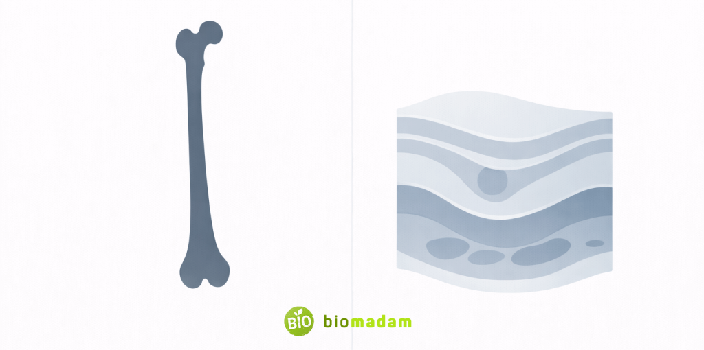 Two-panel illustration comparing high-contrast bone image with layered soft tissue visualization