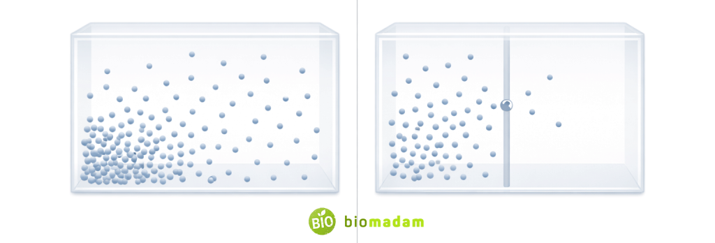 Side-by-side comparison showing free gas mixing in open container versus gas escaping through a tiny hole into a second chamber