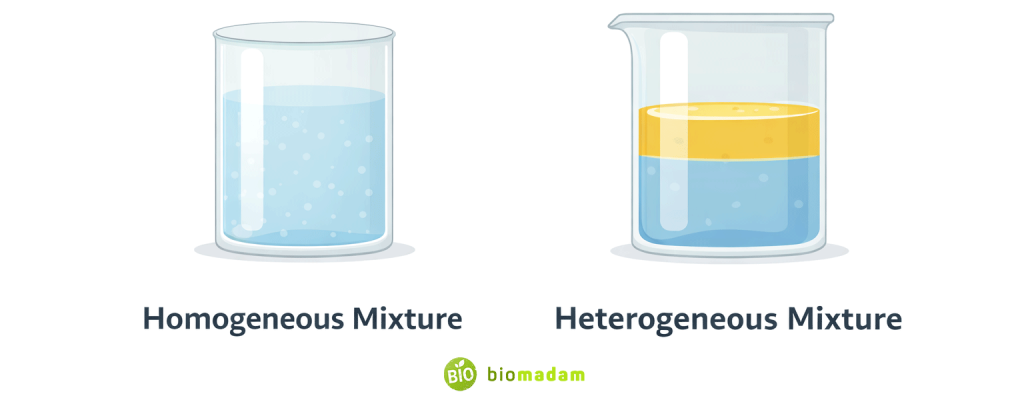 Side-by-side illustration of homogeneous mixture (saltwater) and heterogeneous mixture (oil and water layers)
