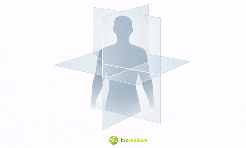 Illustration of human torso with horizontal and vertical slicing planes demonstrating MRI multi-planar imaging capability