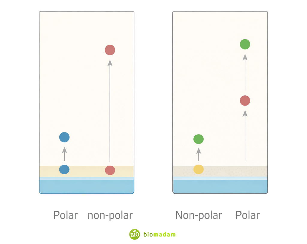 Comparison of normal-phase and reverse-phase thin layer chromatography