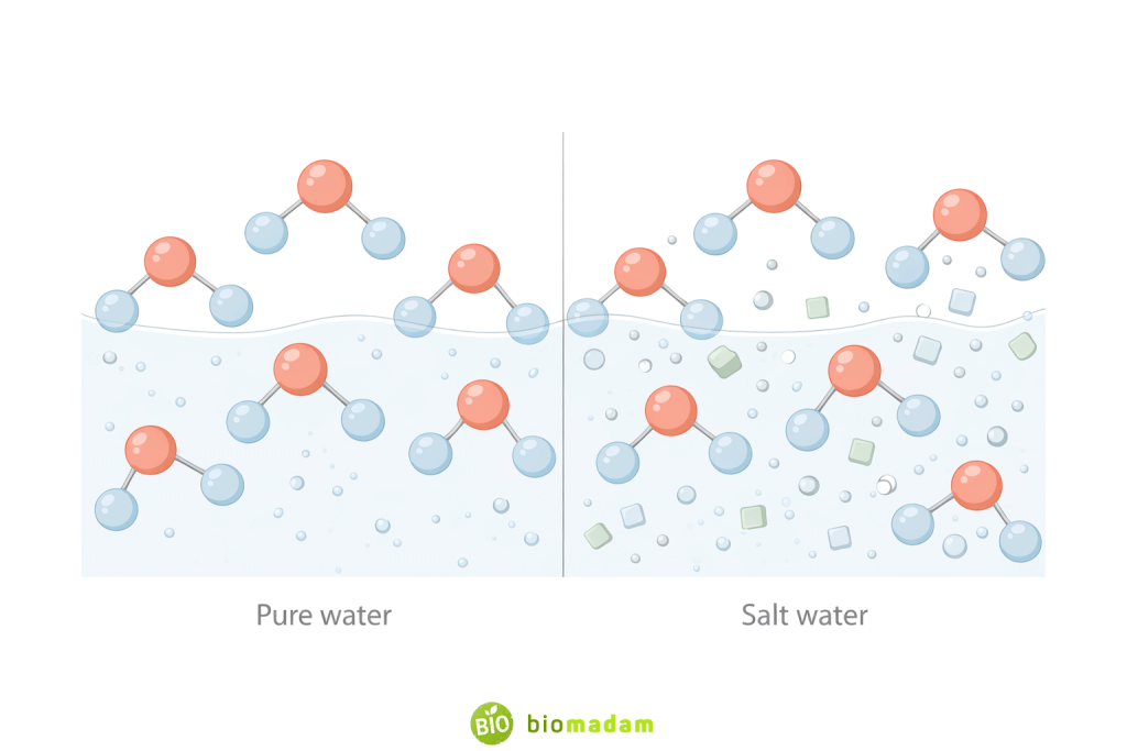 Comparative illustration showing pure water molecules versus salt water as a mixture