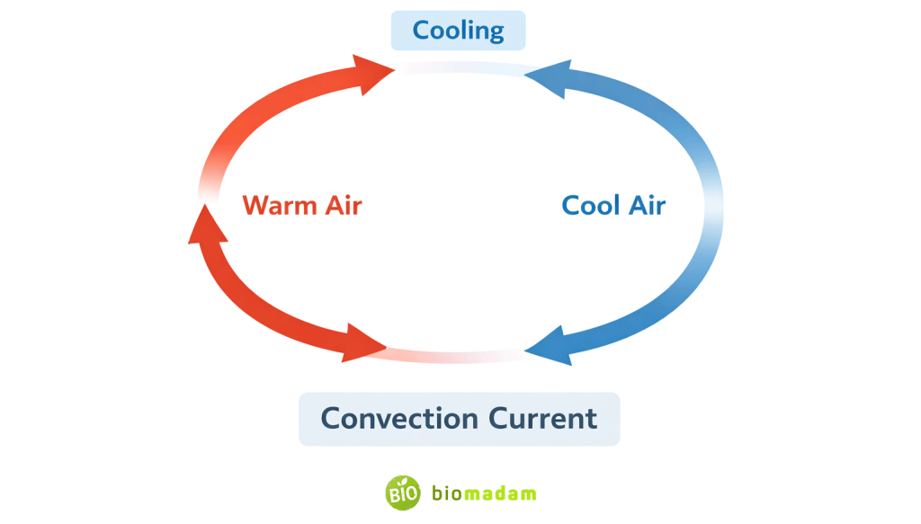 Diagram showing convection current with warm air rising and cool air sinking in a circular cycle