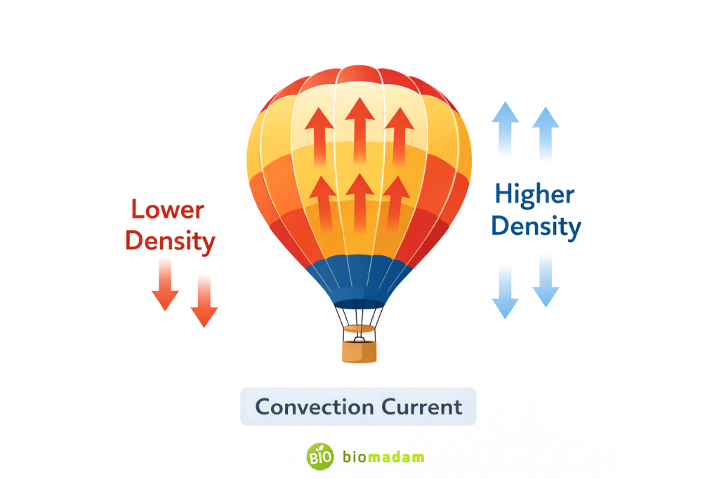 Illustration showing hot air balloon rising because warm air inside is less dense than outside air