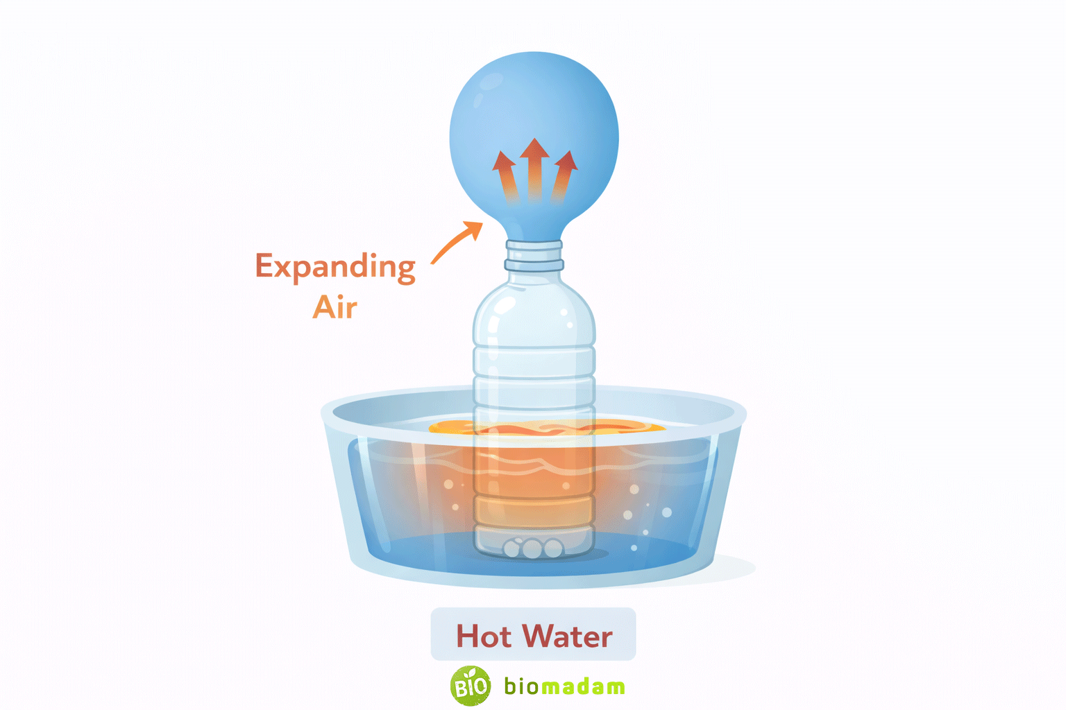 Why Hot Air Rises and Cold Air Sinks (Simple Explanation)